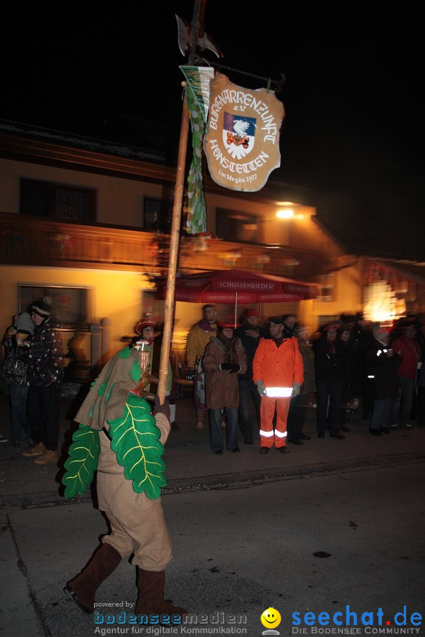 Narrentreffen 2010 - Festzelt: Orsingen am Bodensee, 29.01.2011