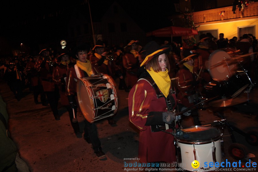 Narrentreffen 2010 - Festzelt: Orsingen am Bodensee, 29.01.2011