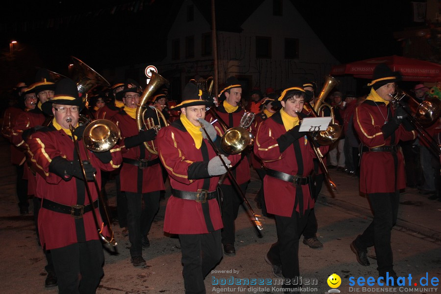 Narrentreffen 2010 - Festzelt: Orsingen am Bodensee, 29.01.2011