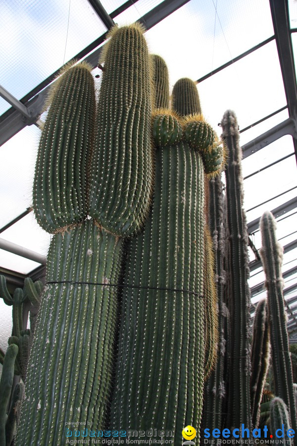 WILHELMA - zoologisch-botanischer Garten: Stuttgart, 05.02.2011