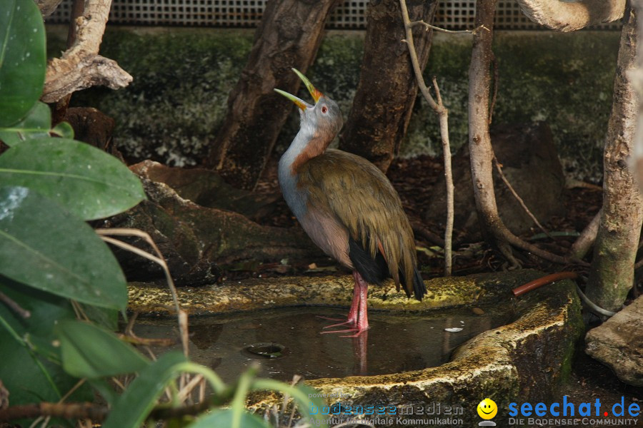 WILHELMA - zoologisch-botanischer Garten: Stuttgart, 05.02.2011