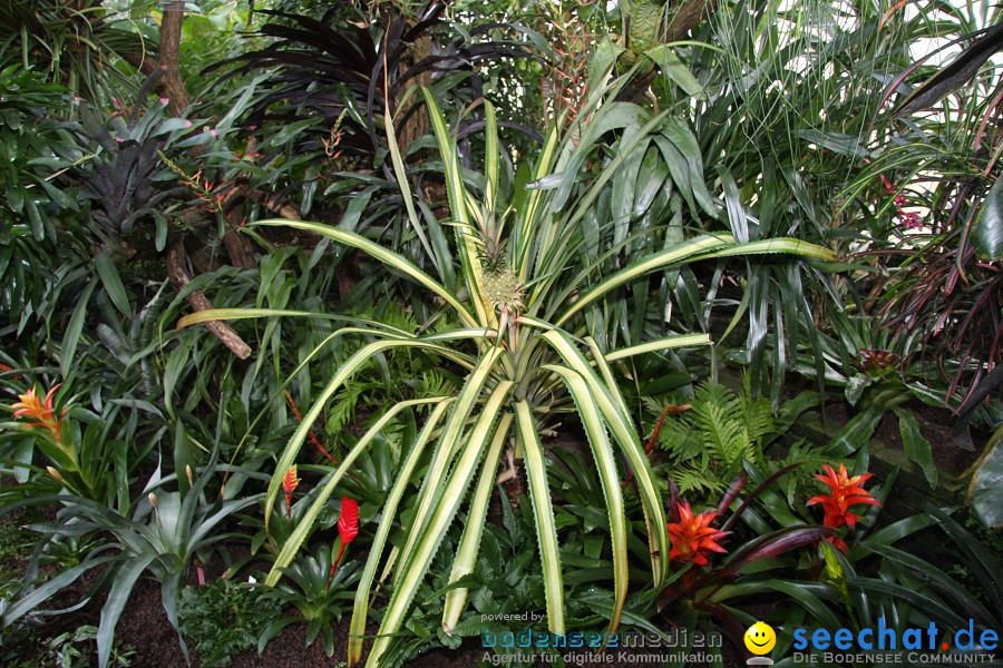 WILHELMA - zoologisch-botanischer Garten: Stuttgart, 05.02.2011