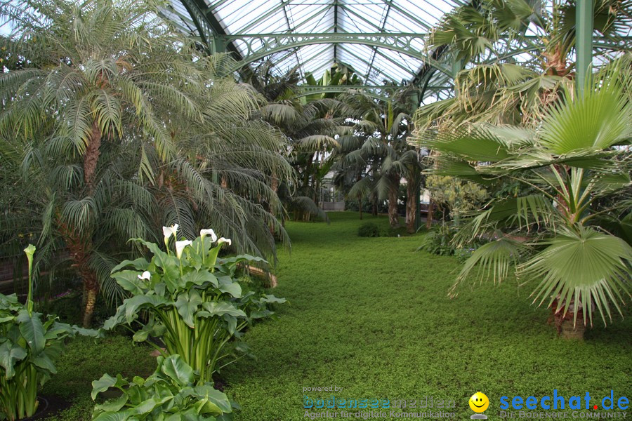 WILHELMA - zoologisch-botanischer Garten: Stuttgart, 05.02.2011