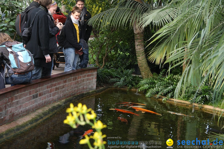 WILHELMA - zoologisch-botanischer Garten: Stuttgart, 05.02.2011