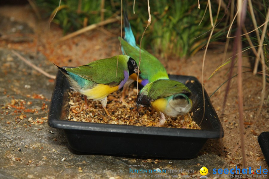 WILHELMA - zoologisch-botanischer Garten: Stuttgart, 05.02.2011