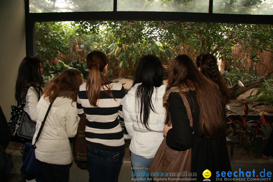 WILHELMA - zoologisch-botanischer Garten: Stuttgart, 05.02.2011