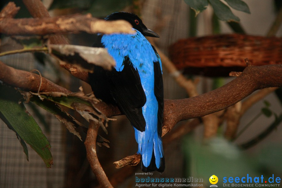 WILHELMA - zoologisch-botanischer Garten: Stuttgart, 05.02.2011