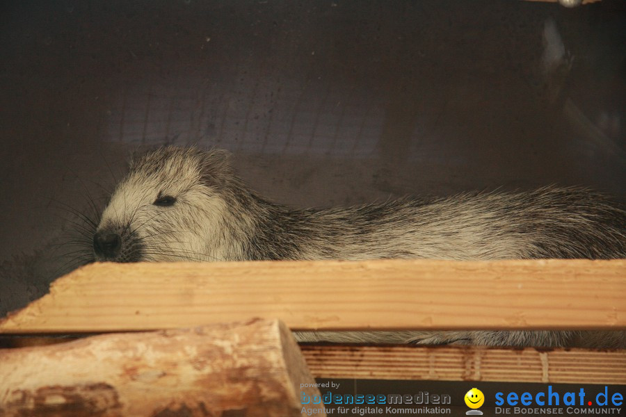 WILHELMA - zoologisch-botanischer Garten: Stuttgart, 05.02.2011