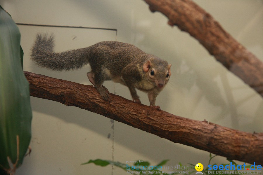 WILHELMA - zoologisch-botanischer Garten: Stuttgart, 05.02.2011