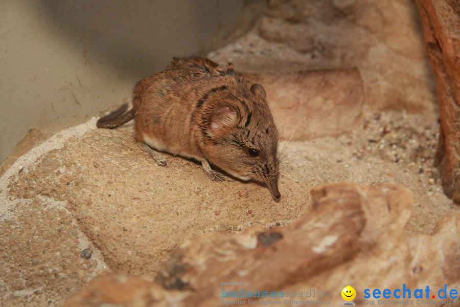 WILHELMA - zoologisch-botanischer Garten: Stuttgart, 05.02.2011