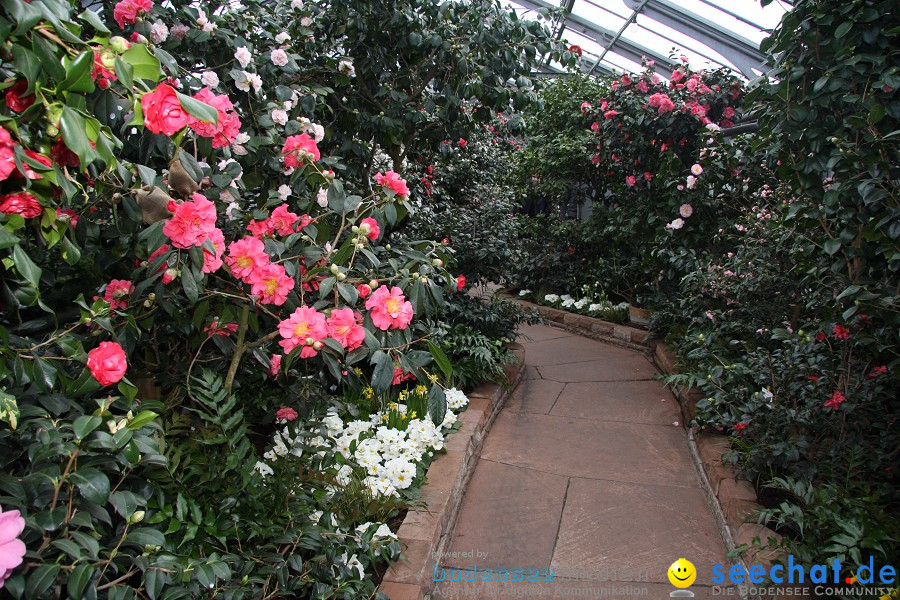 WILHELMA - zoologisch-botanischer Garten: Stuttgart, 05.02.2011