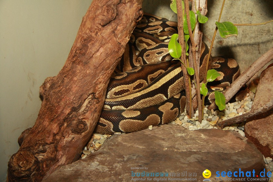 WILHELMA - zoologisch-botanischer Garten: Stuttgart, 05.02.2011