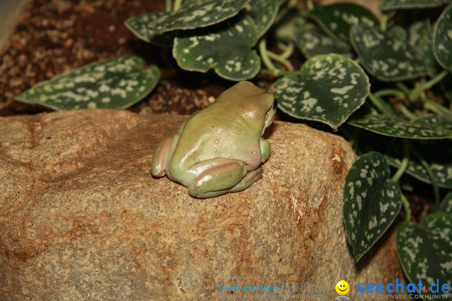 WILHELMA - zoologisch-botanischer Garten: Stuttgart, 05.02.2011