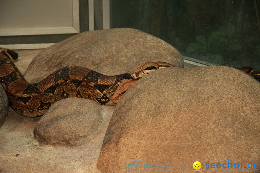 WILHELMA - zoologisch-botanischer Garten: Stuttgart, 05.02.2011