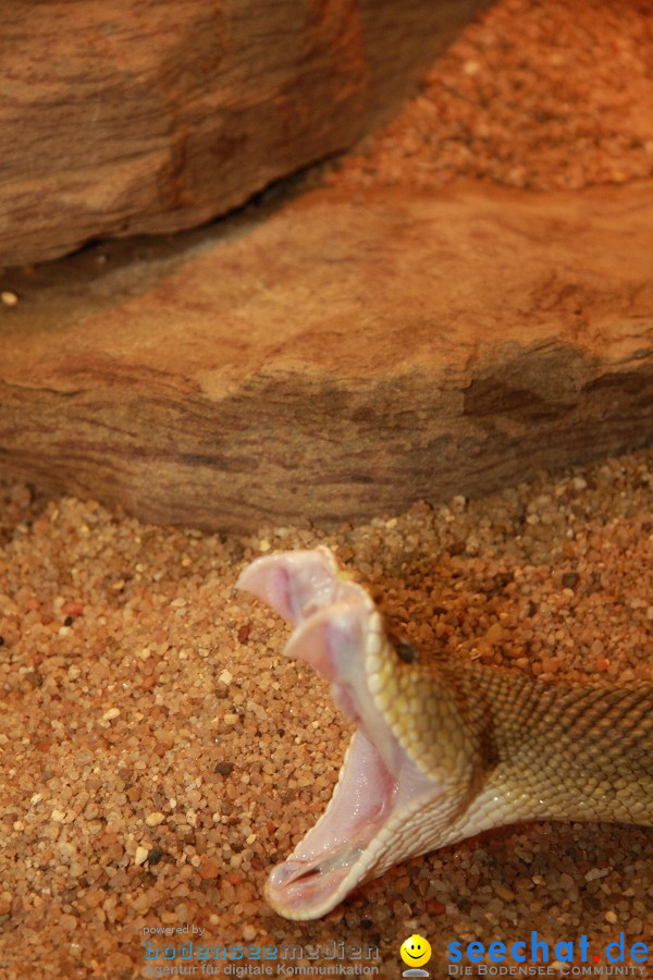 WILHELMA - zoologisch-botanischer Garten: Stuttgart, 05.02.2011