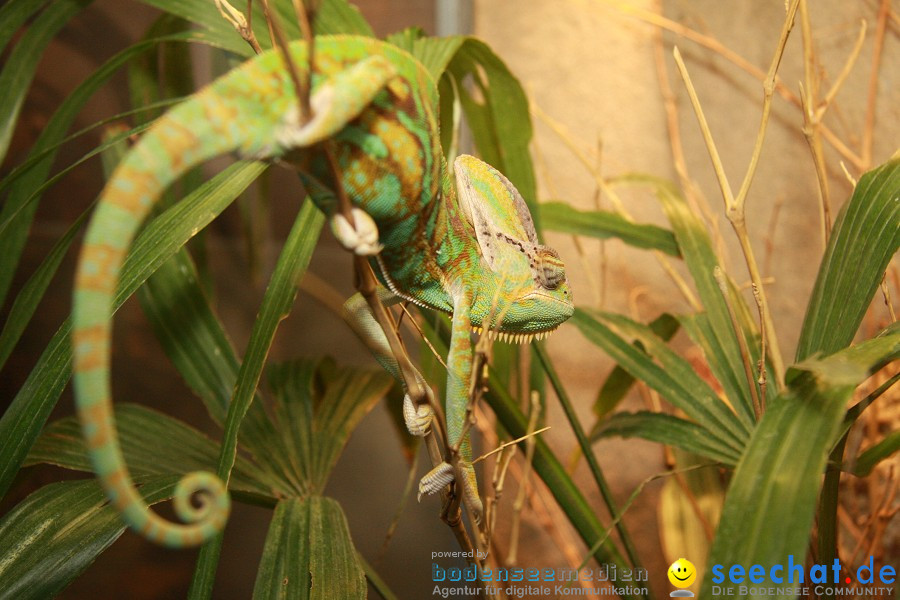 WILHELMA - zoologisch-botanischer Garten: Stuttgart, 05.02.2011