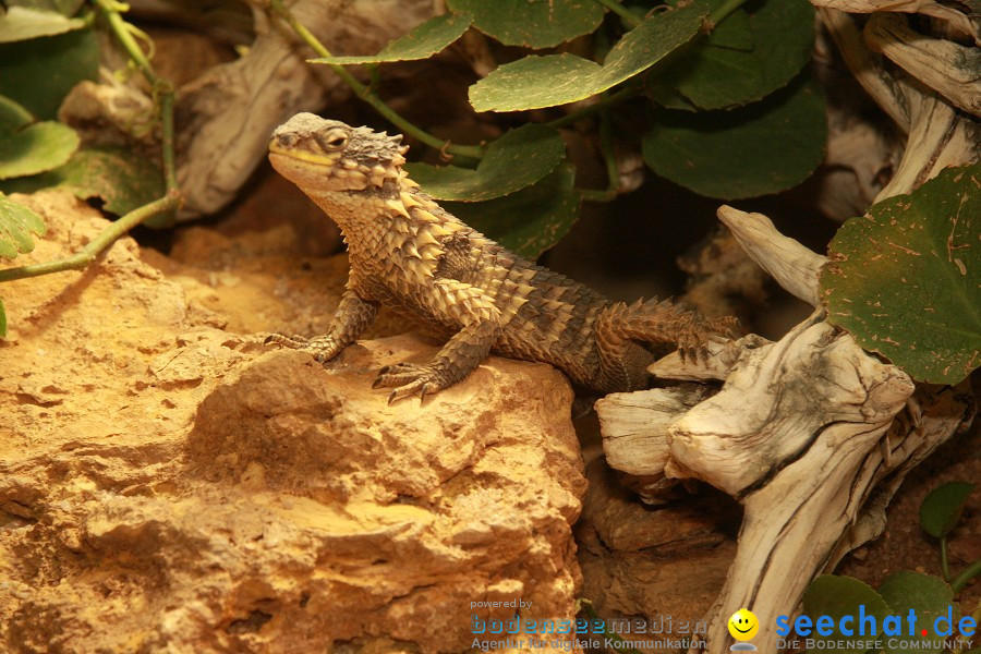 WILHELMA - zoologisch-botanischer Garten: Stuttgart, 05.02.2011