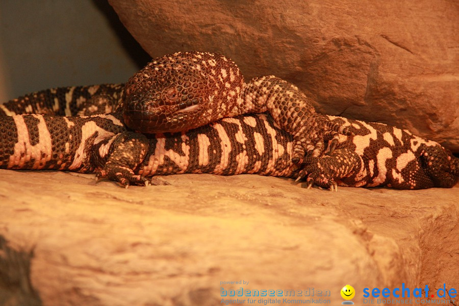 WILHELMA - zoologisch-botanischer Garten: Stuttgart, 05.02.2011