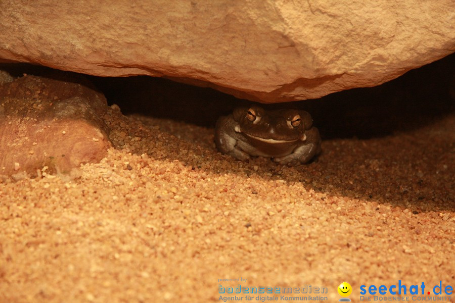 WILHELMA - zoologisch-botanischer Garten: Stuttgart, 05.02.2011