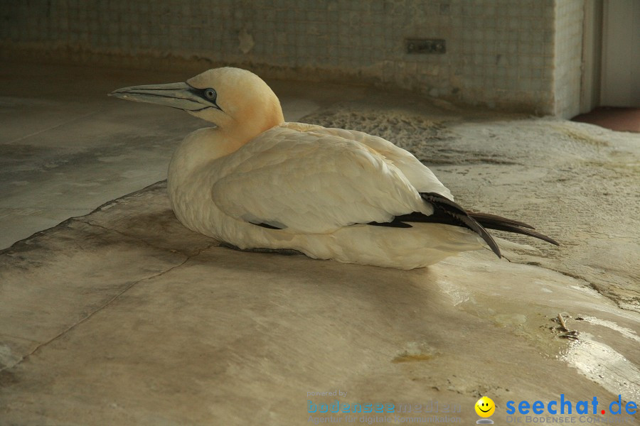 WILHELMA - zoologisch-botanischer Garten: Stuttgart, 05.02.2011