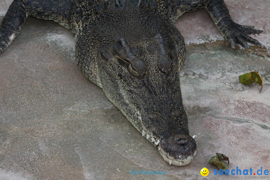 WILHELMA - zoologisch-botanischer Garten: Stuttgart, 05.02.2011