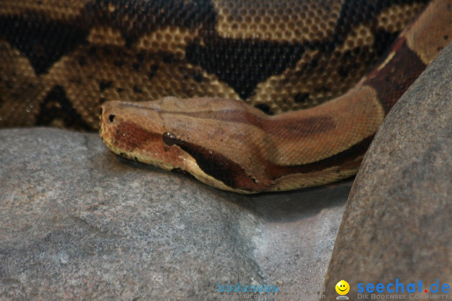 WILHELMA - zoologisch-botanischer Garten: Stuttgart, 05.02.2011