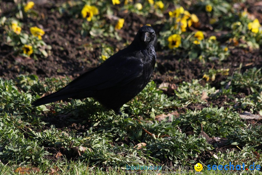 WILHELMA - zoologisch-botanischer Garten: Stuttgart, 05.02.2011