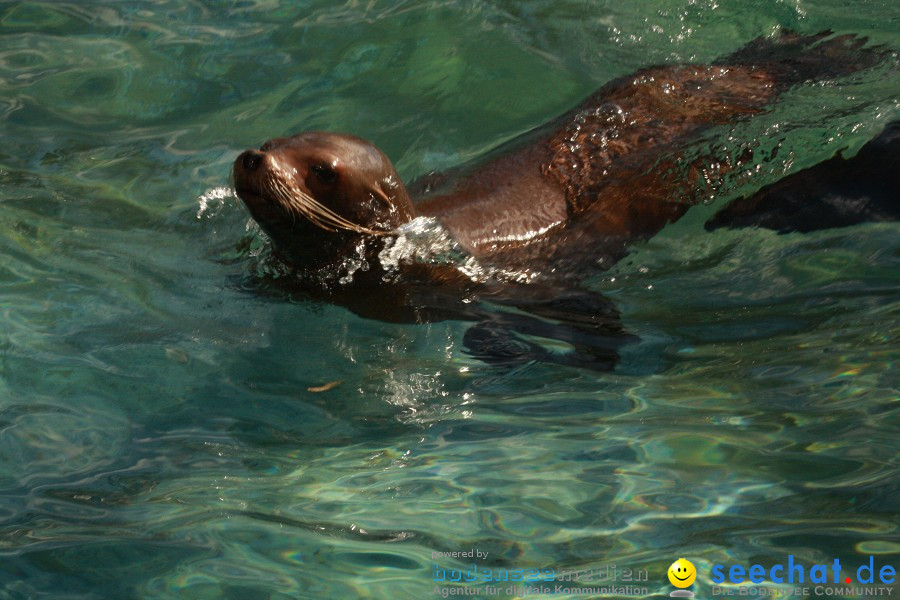 WILHELMA - zoologisch-botanischer Garten: Stuttgart, 05.02.2011