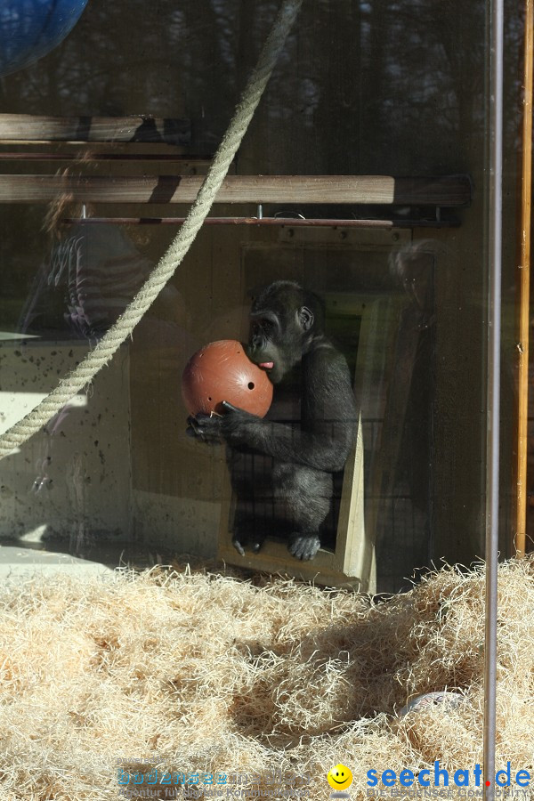 WILHELMA - zoologisch-botanischer Garten: Stuttgart, 05.02.2011