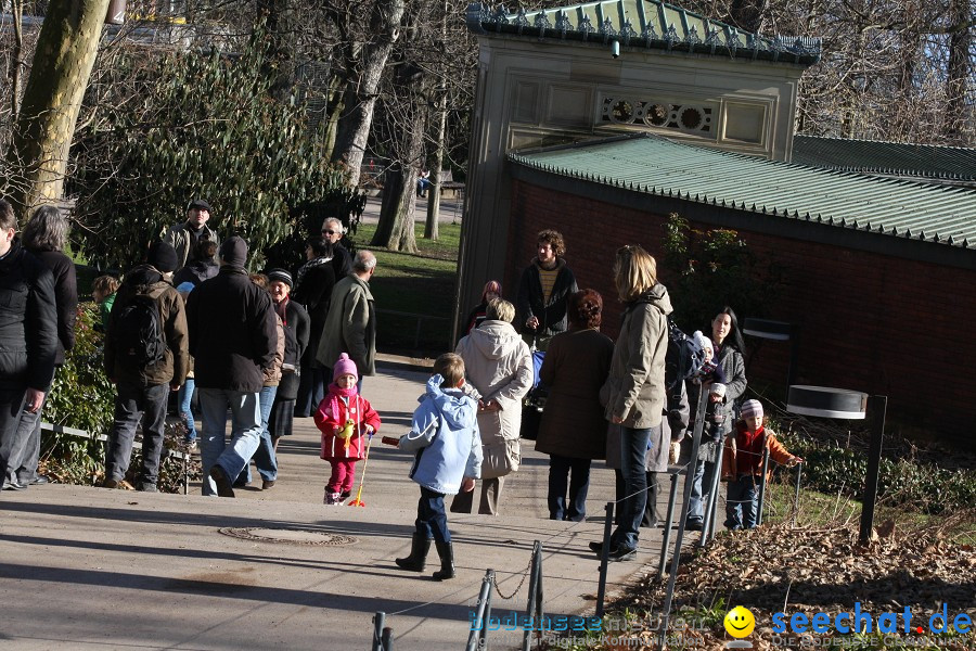 WILHELMA - zoologisch-botanischer Garten: Stuttgart, 05.02.2011