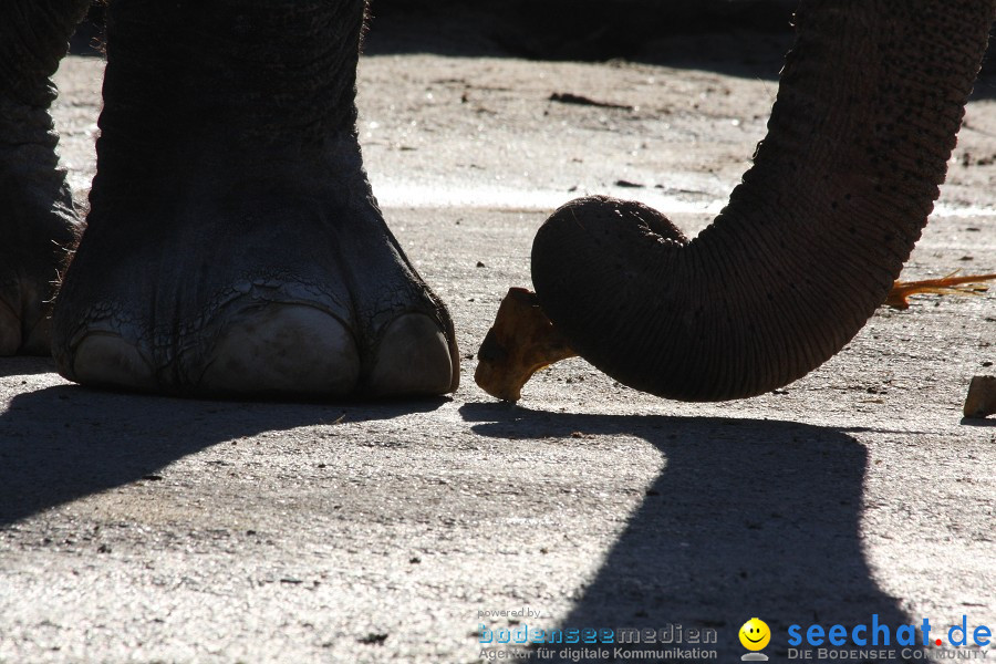 WILHELMA - zoologisch-botanischer Garten: Stuttgart, 05.02.2011