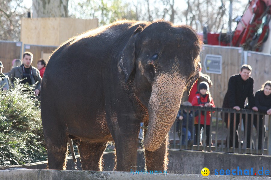 WILHELMA - zoologisch-botanischer Garten: Stuttgart, 05.02.2011