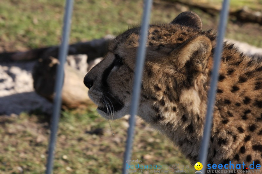 WILHELMA - zoologisch-botanischer Garten: Stuttgart, 05.02.2011