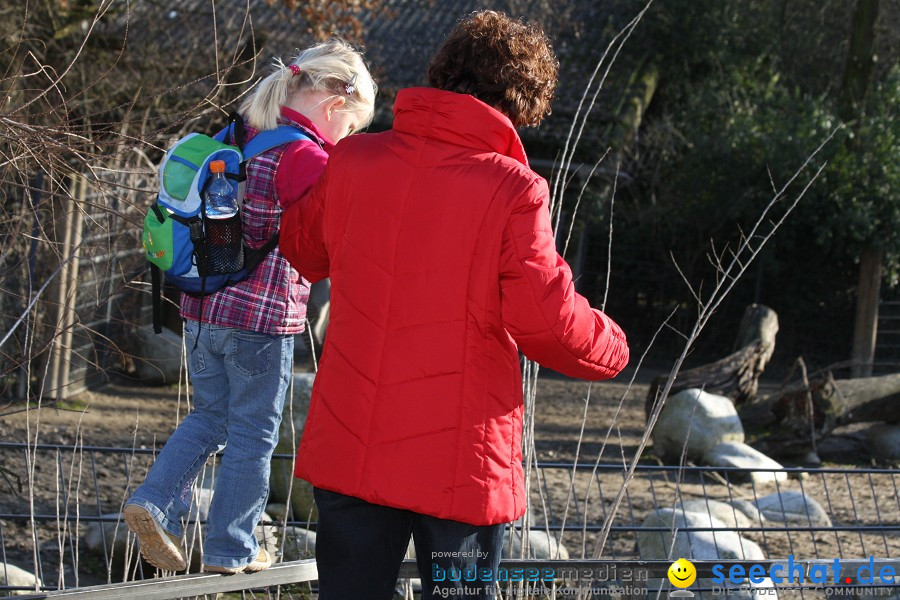 WILHELMA - zoologisch-botanischer Garten: Stuttgart, 05.02.2011