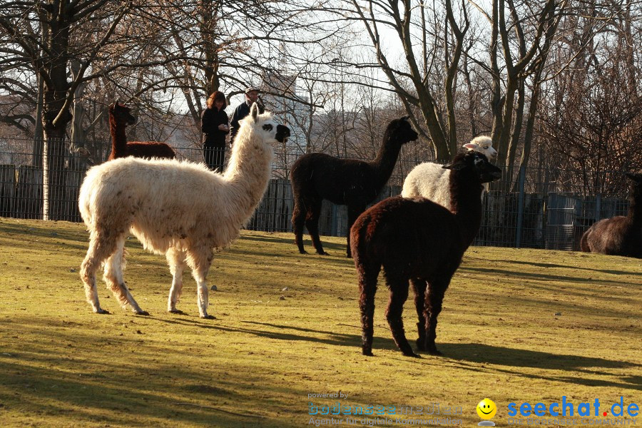 WILHELMA - zoologisch-botanischer Garten: Stuttgart, 05.02.2011