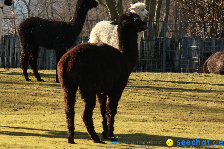 WILHELMA - zoologisch-botanischer Garten: Stuttgart, 05.02.2011