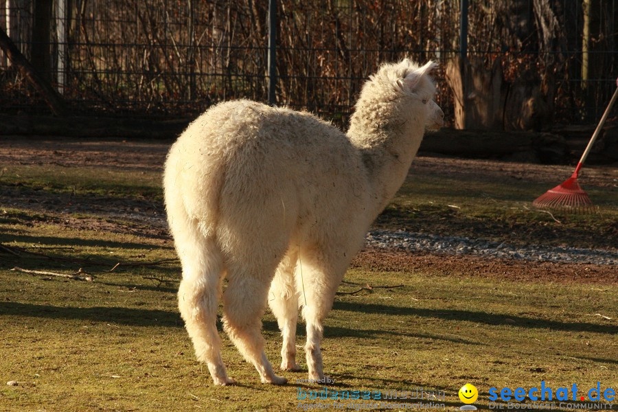 WILHELMA - zoologisch-botanischer Garten: Stuttgart, 05.02.2011