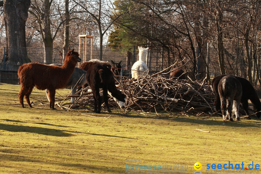 WILHELMA - zoologisch-botanischer Garten: Stuttgart, 05.02.2011