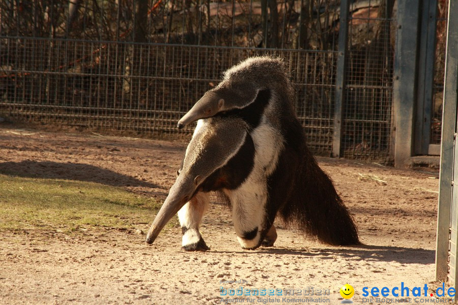 WILHELMA - zoologisch-botanischer Garten: Stuttgart, 05.02.2011