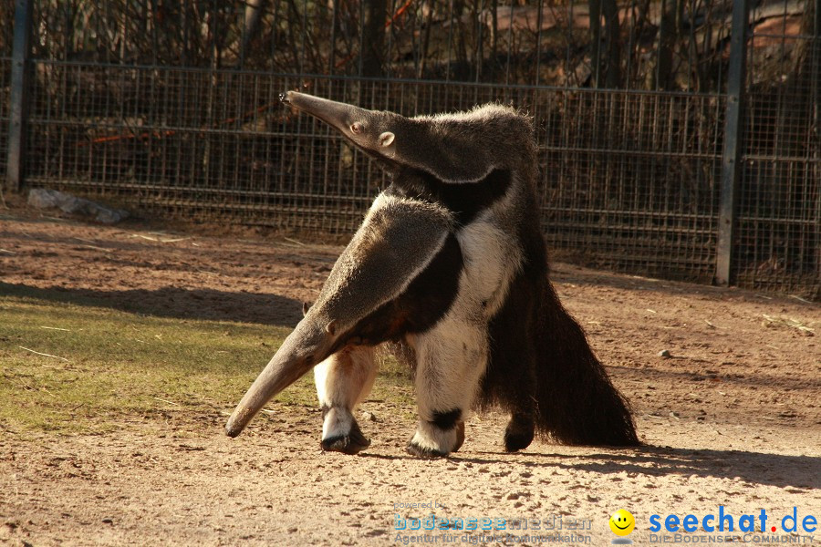 WILHELMA - zoologisch-botanischer Garten: Stuttgart, 05.02.2011