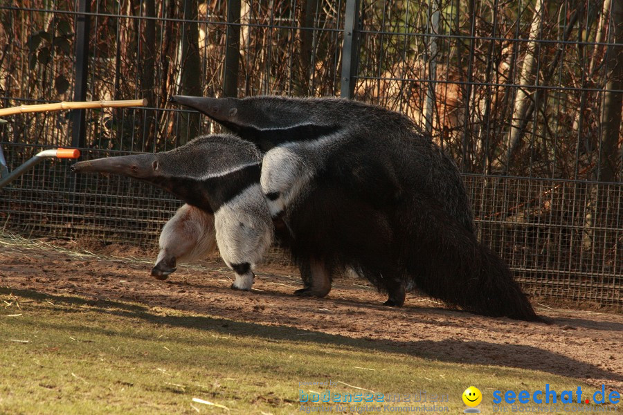 WILHELMA - zoologisch-botanischer Garten: Stuttgart, 05.02.2011