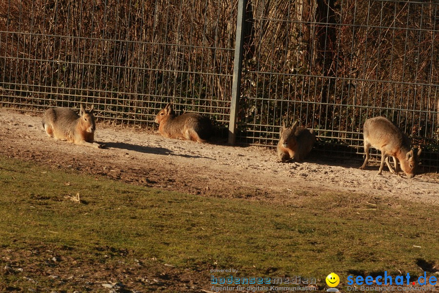 WILHELMA - zoologisch-botanischer Garten: Stuttgart, 05.02.2011