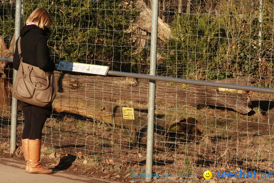 WILHELMA - zoologisch-botanischer Garten: Stuttgart, 05.02.2011