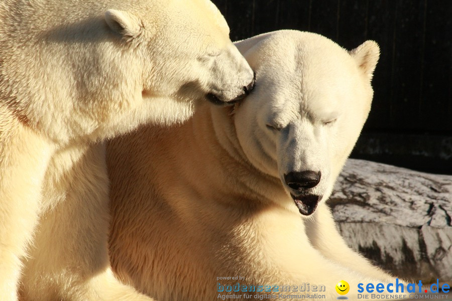 WILHELMA - zoologisch-botanischer Garten: Stuttgart, 05.02.2011