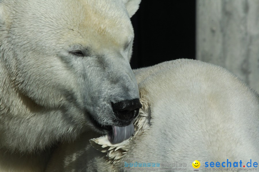 WILHELMA - zoologisch-botanischer Garten: Stuttgart, 05.02.2011