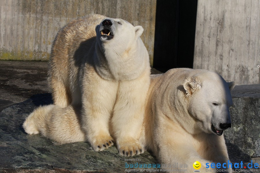 WILHELMA - zoologisch-botanischer Garten: Stuttgart, 05.02.2011