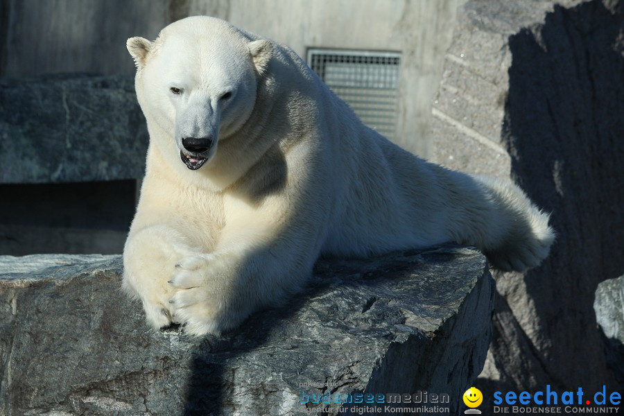 WILHELMA - zoologisch-botanischer Garten: Stuttgart, 05.02.2011