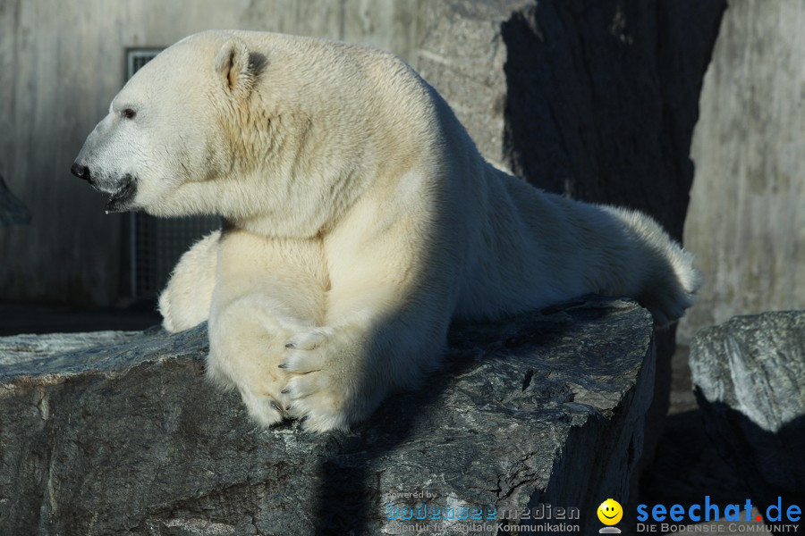 WILHELMA - zoologisch-botanischer Garten: Stuttgart, 05.02.2011