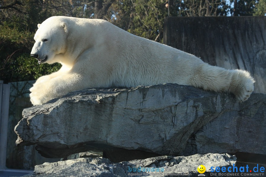 WILHELMA - zoologisch-botanischer Garten: Stuttgart, 05.02.2011