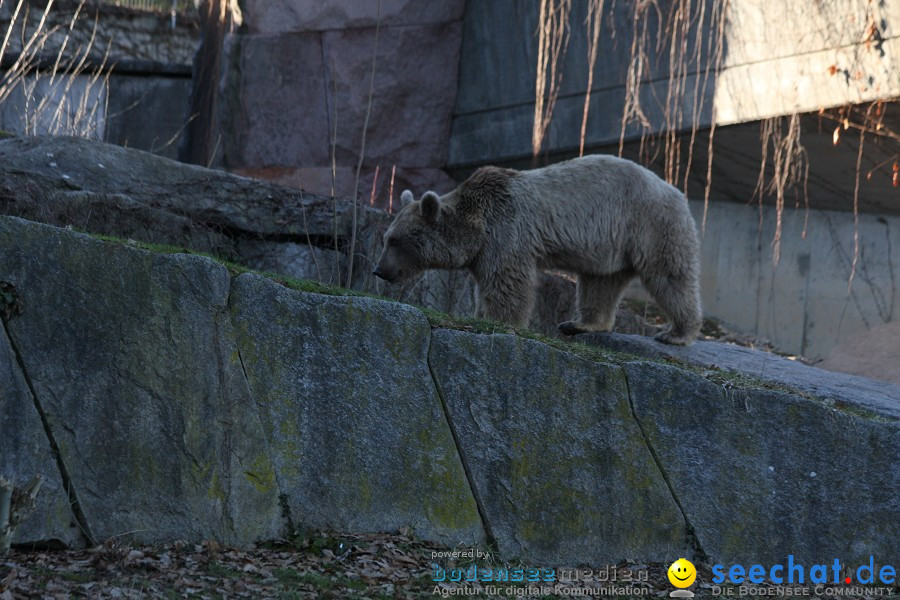 WILHELMA - zoologisch-botanischer Garten: Stuttgart, 05.02.2011